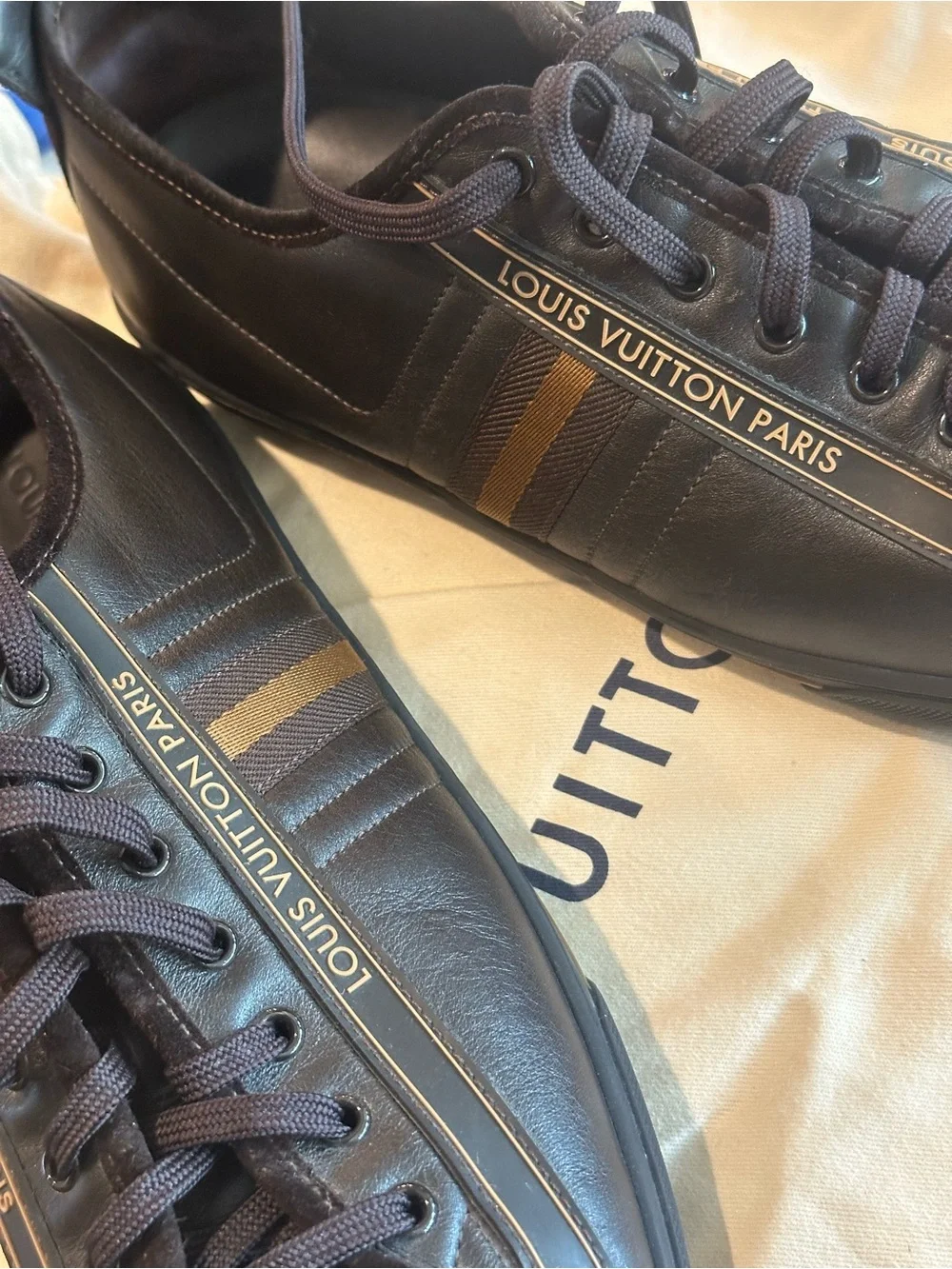 Louis Vuitton classic louis